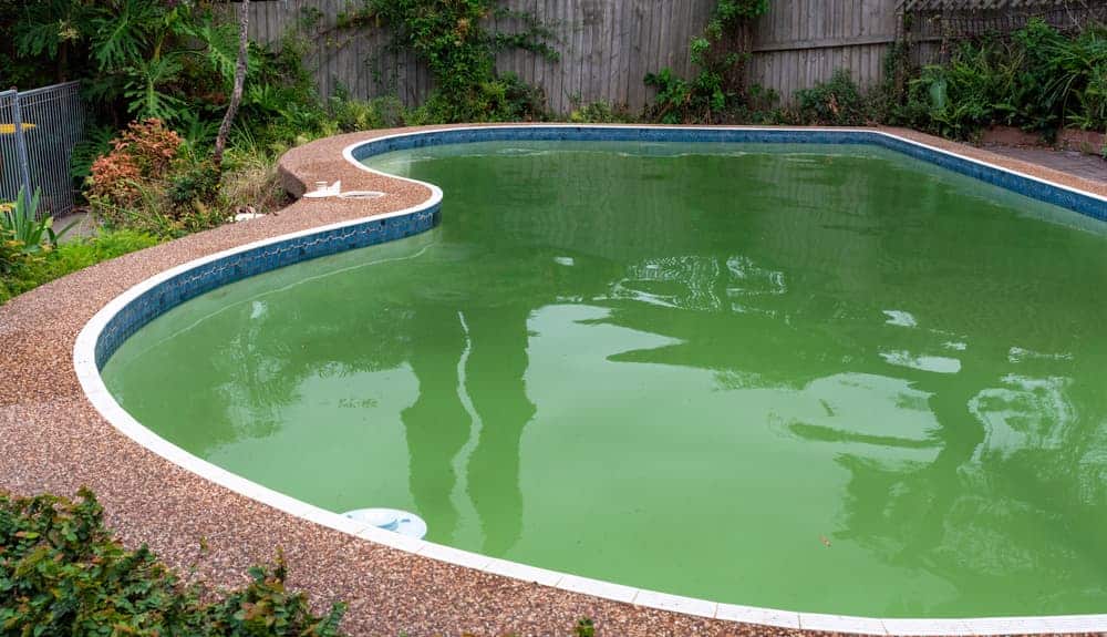 Cloudy green pool water caused by algae growth and low chlorine levels in a residential pool